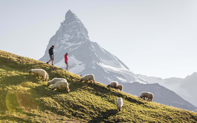 Aktivitäten & Sport
