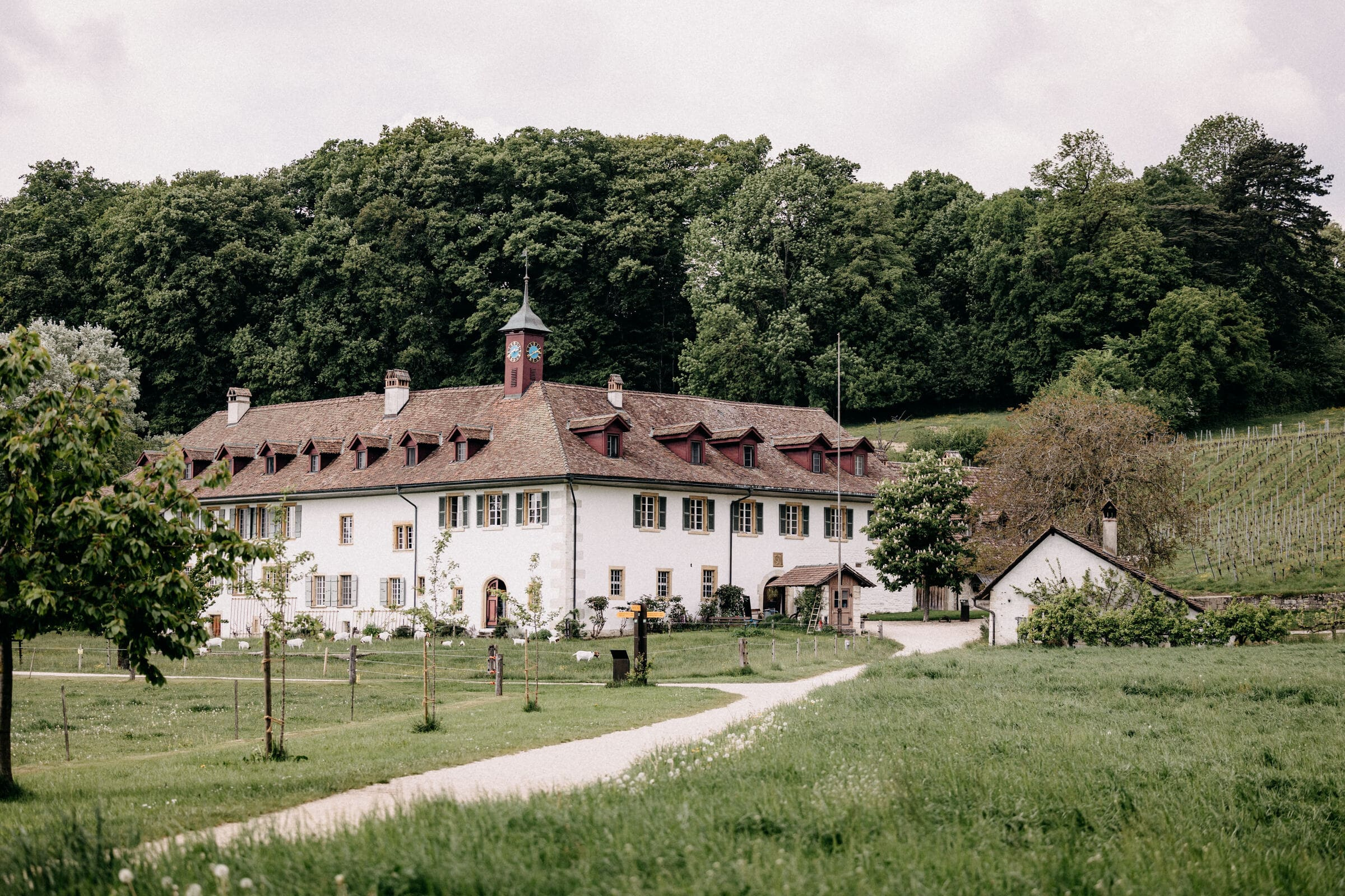 Hotel St. Petersinsel
